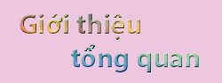 Giới thiệu tổng quan về Trường Cao đẳng Kỹ thuật Công nghệ Nha Trang